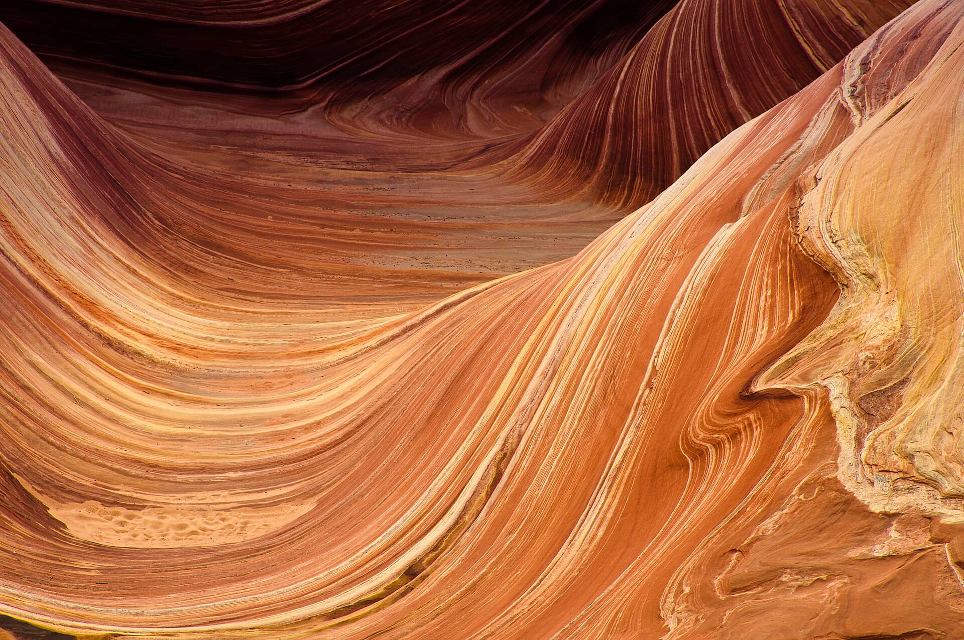 The Wave sandstone formation at Coyote Buttes, Arizona