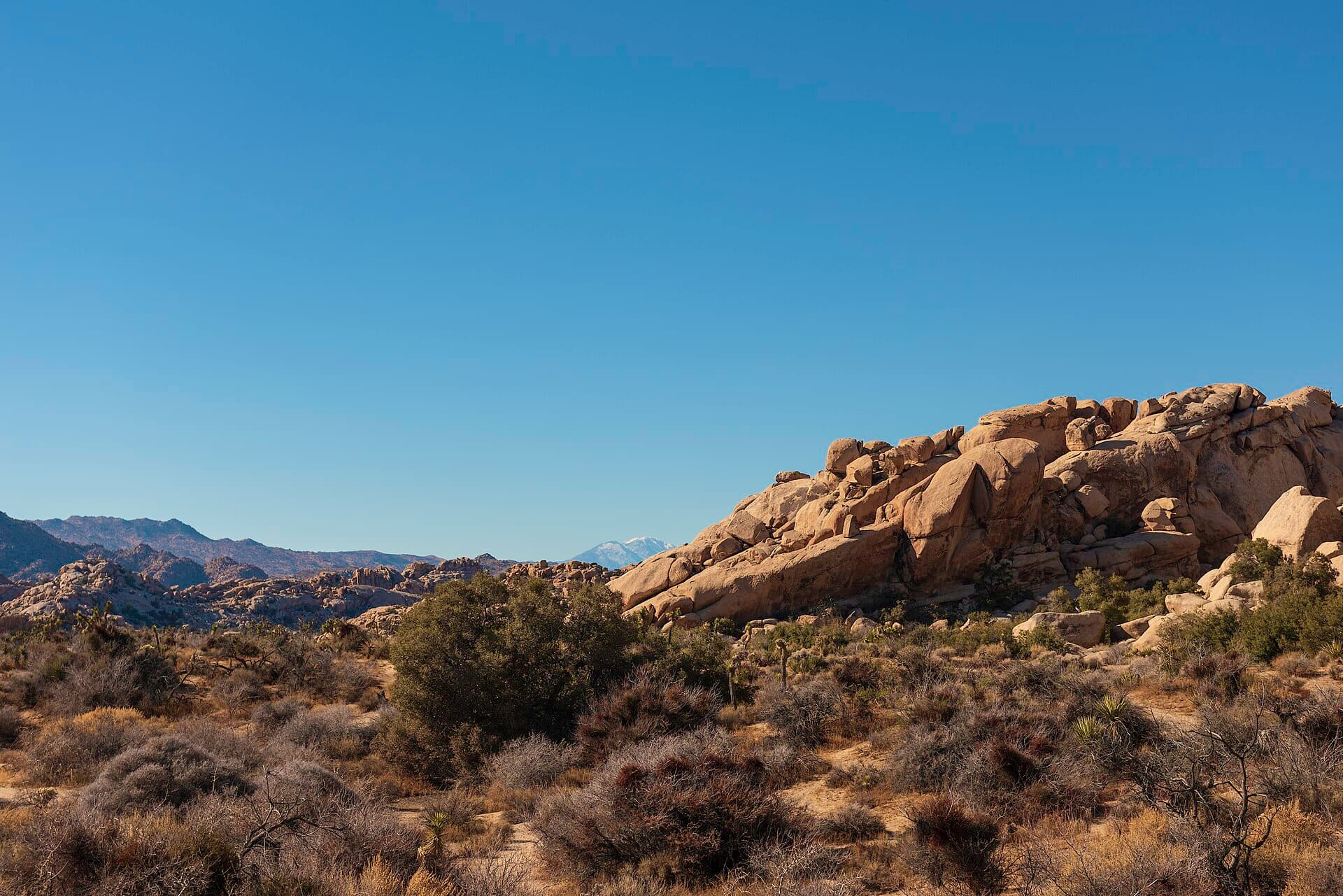 Vivian Creek Trailhead Permit wilderness permit area in San Gorgonio Wilderness - backcountry hiking destination