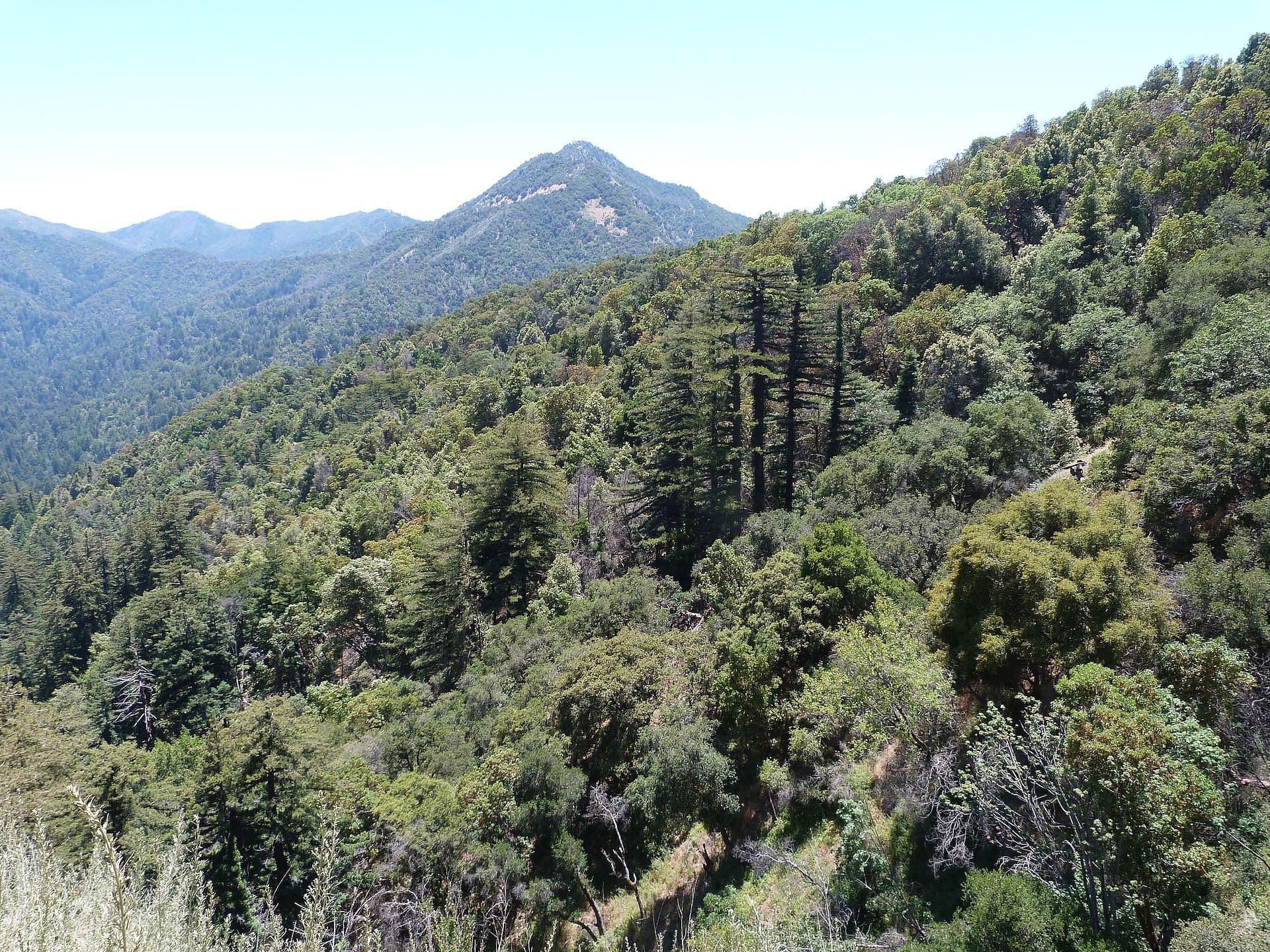 Pine Ridge Trail / Sykes Hot Springs wilderness permit area in Los Padres National Forest - backcountry hiking destination