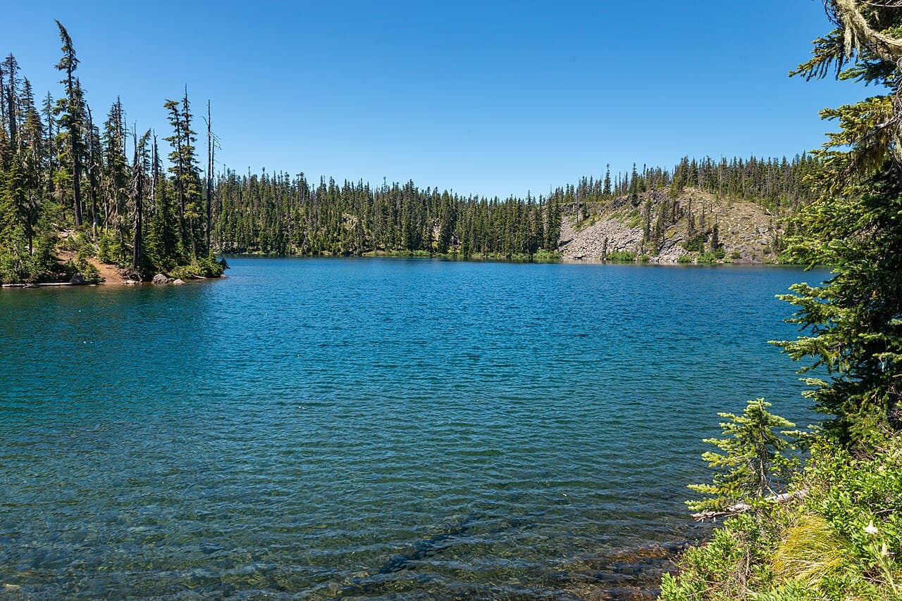 Central Cascades Day-Use — Benson/Tenas wilderness permit area in Central Cascades Wilderness - backcountry hiking destination