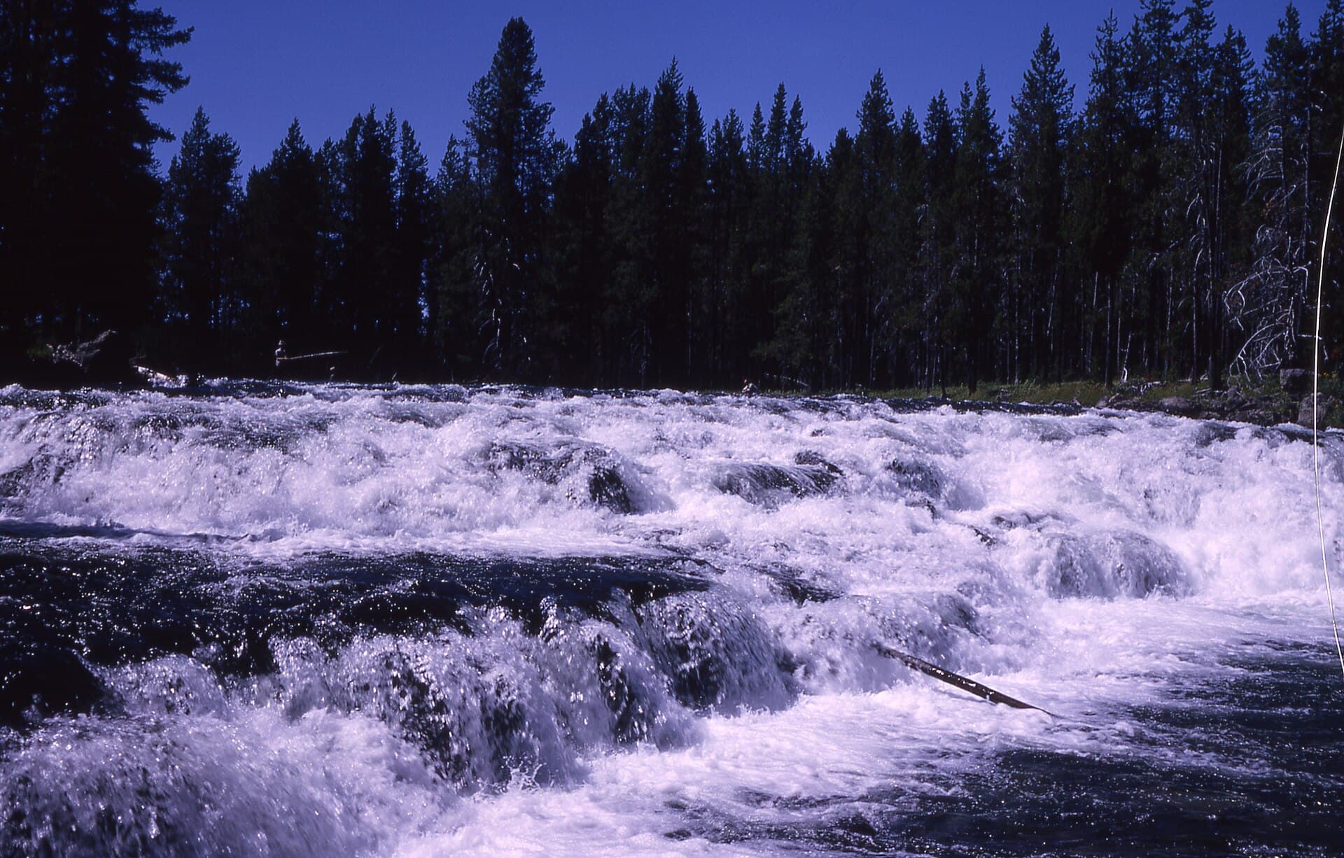 Bechler Permit - Yellowstone, NPS