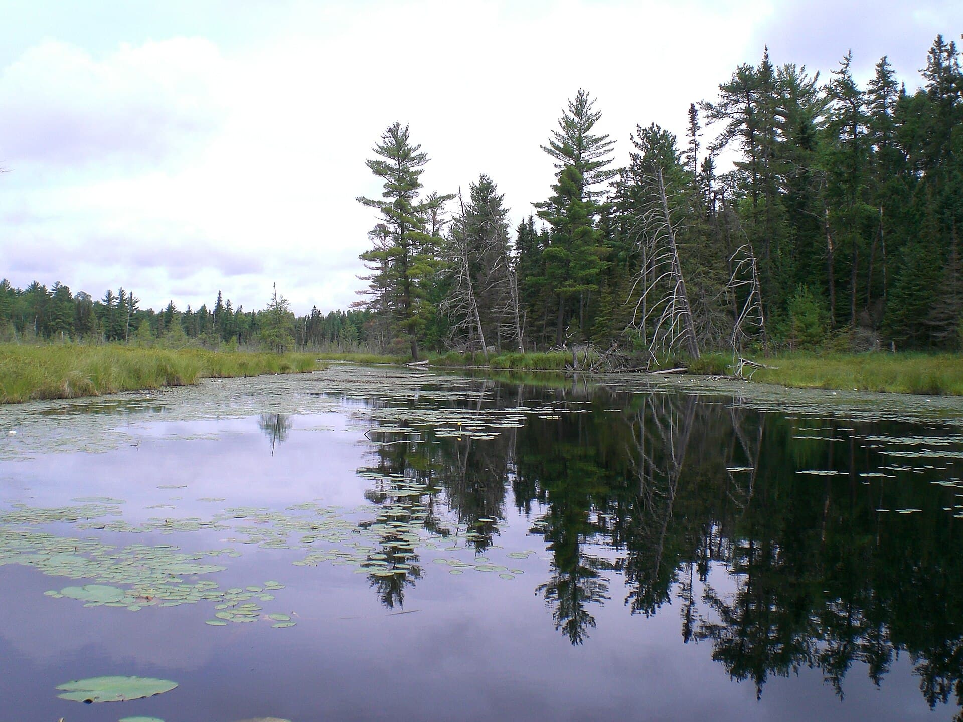 Clearwater Lake (EP62) Permit - BWCAW, USFS