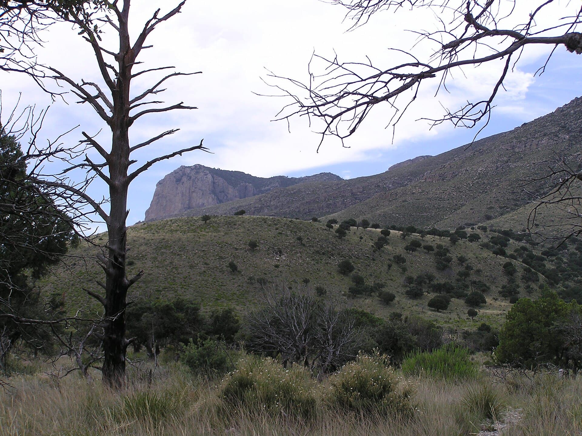 Guadalupe Mountains Wilderness Permit wilderness permit area in Guadalupe Mountains National Park - backcountry hiking destination