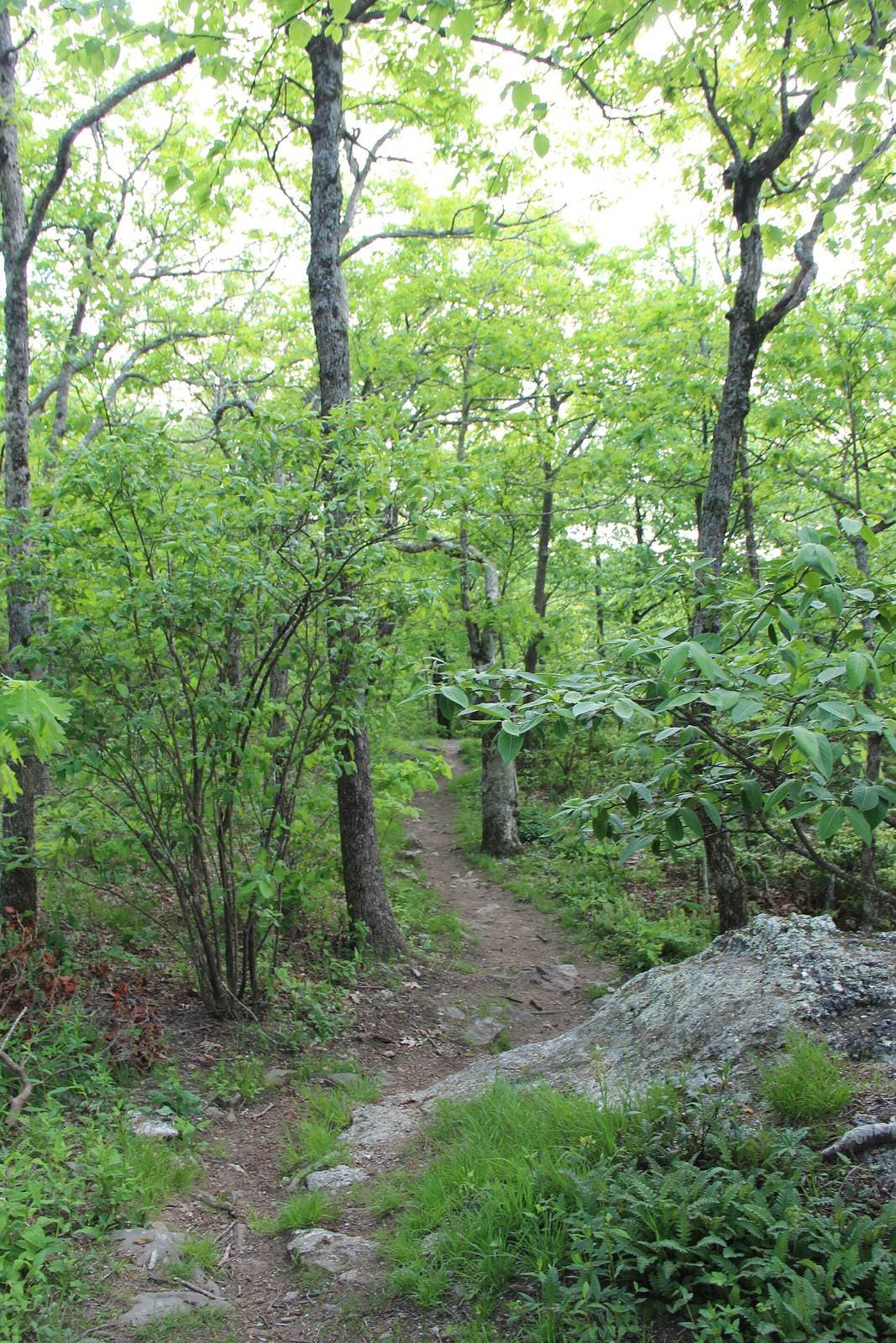 Appalachian Trail Thru-Hike wilderness permit area in Appalachian Trail - backcountry hiking destination