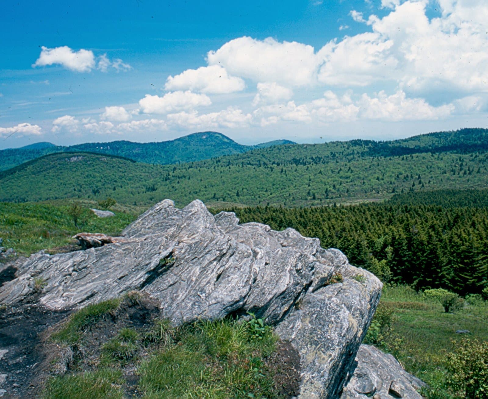 Art Loeb Trail wilderness permit area in Art Loeb Trail - backcountry hiking destination