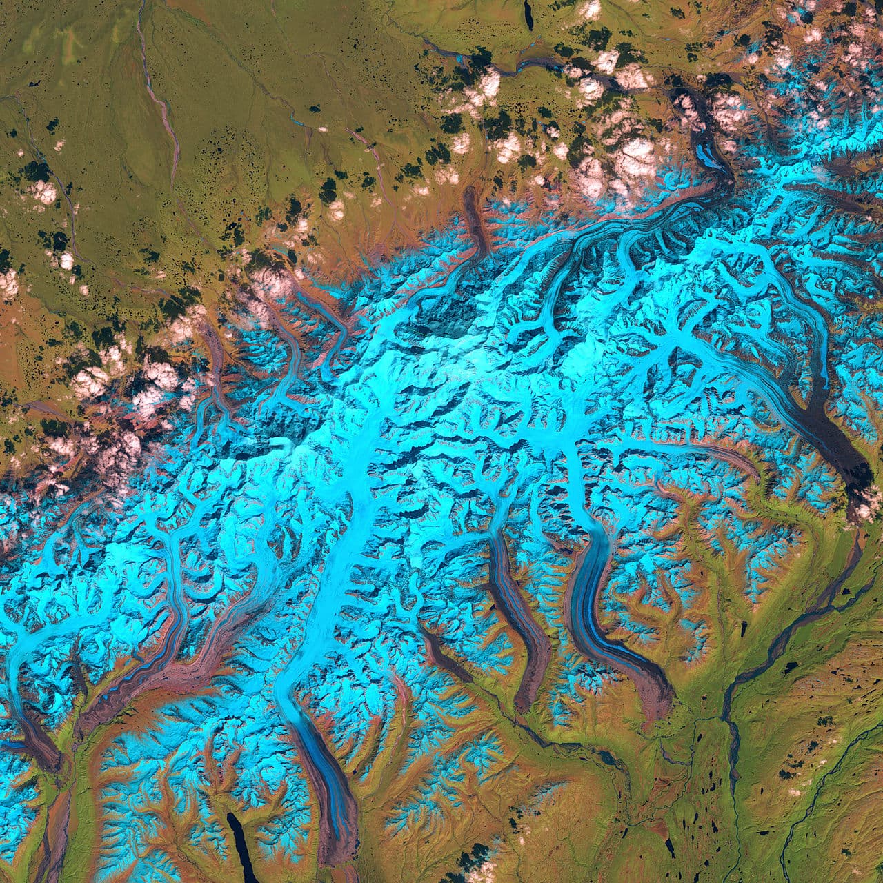 Denali Summit Permit wilderness permit area in Denali National Park - backcountry hiking destination