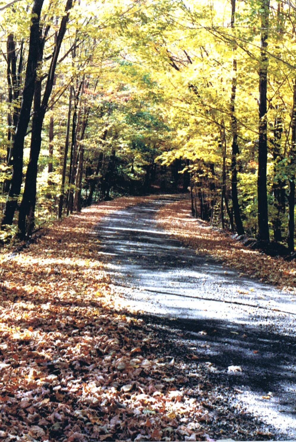 Laurel Highlands Hiking Trail permit area in Laurel Ridge State Park (PA) - backcountry hiking destination