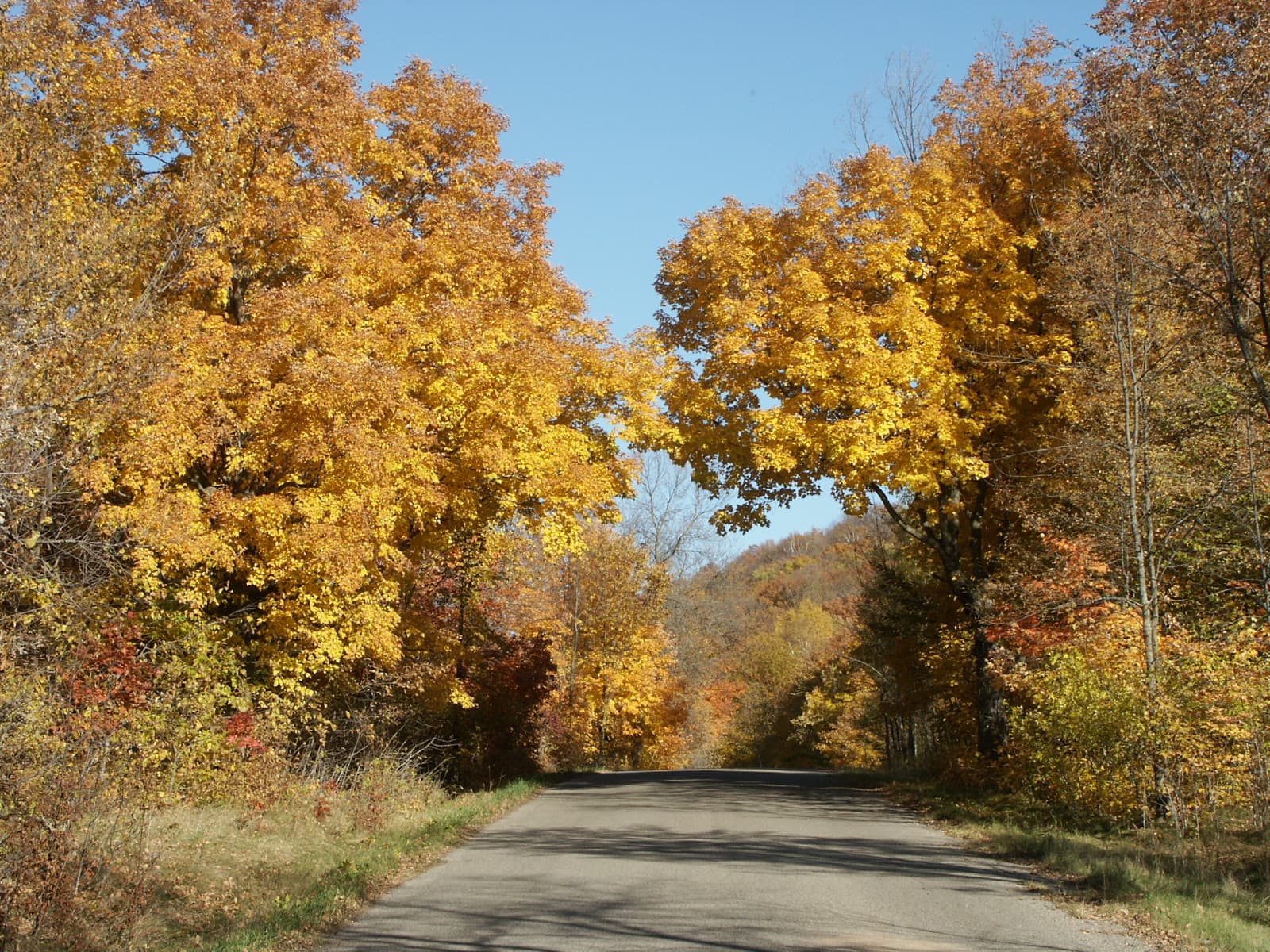 Maplewood Backpack Campsites wilderness permit area in Maplewood State Park (MN) - backcountry hiking destination