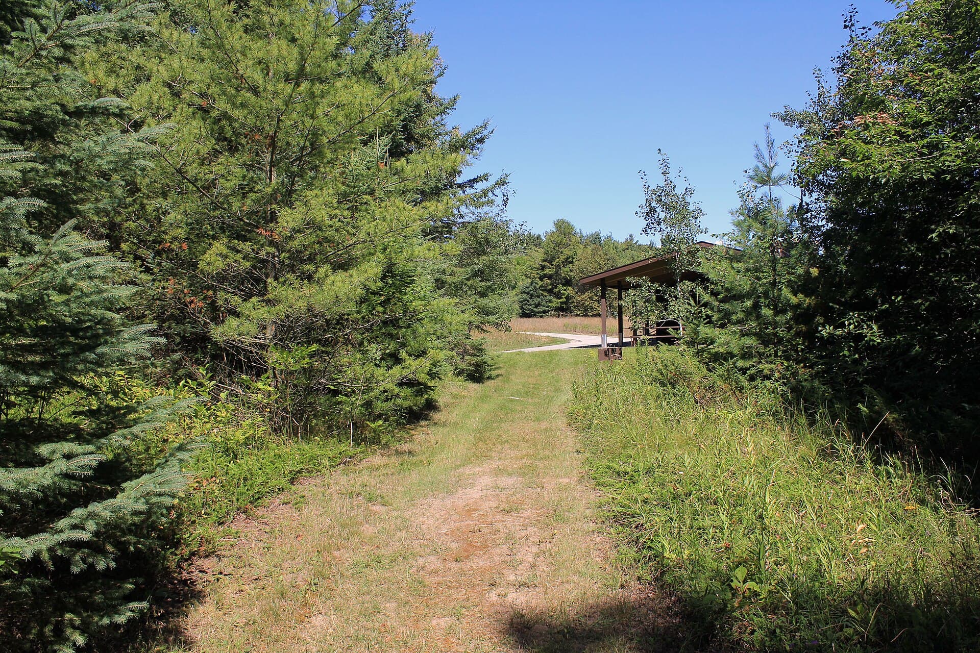 Newport Wilderness Campsites wilderness permit area in Newport State Park (WI) - backcountry hiking destination