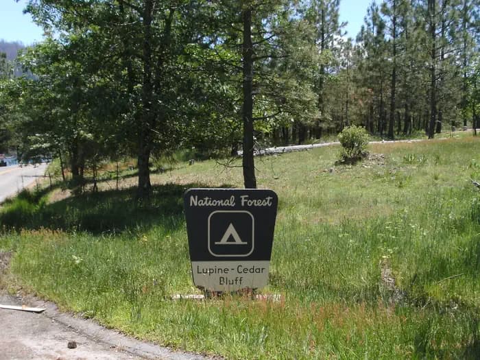 LUPINE campground in California