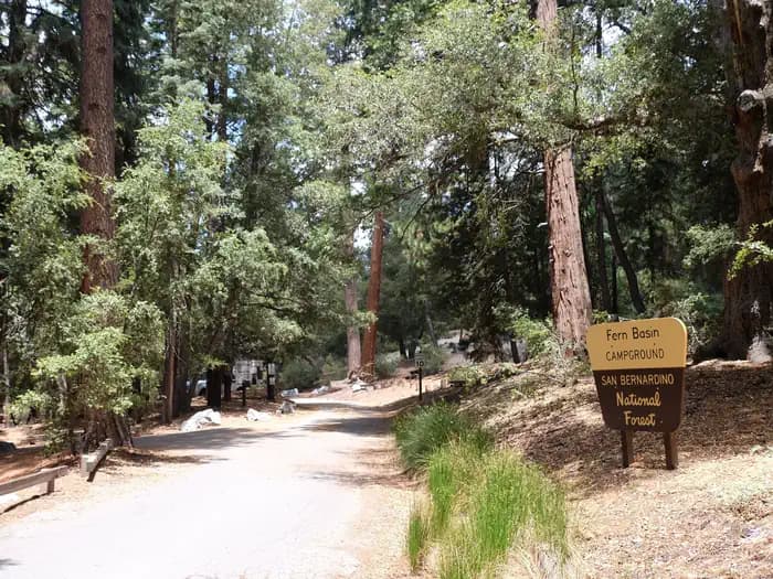 FERN BASIN campground in California