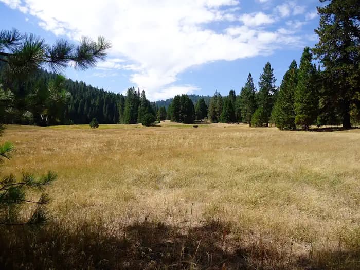 PRINCESS campground in California