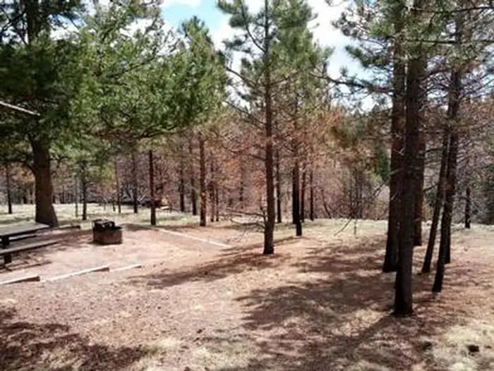 THUNDER RIDGE campground in Colorado