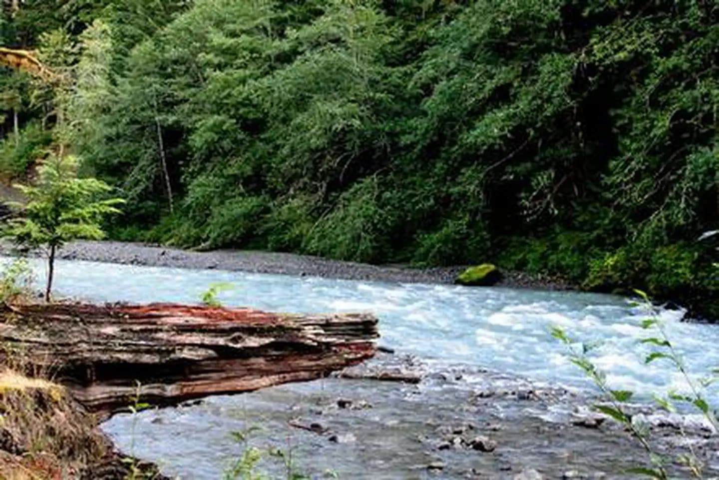 Excelsior Group Camp campground in Washington