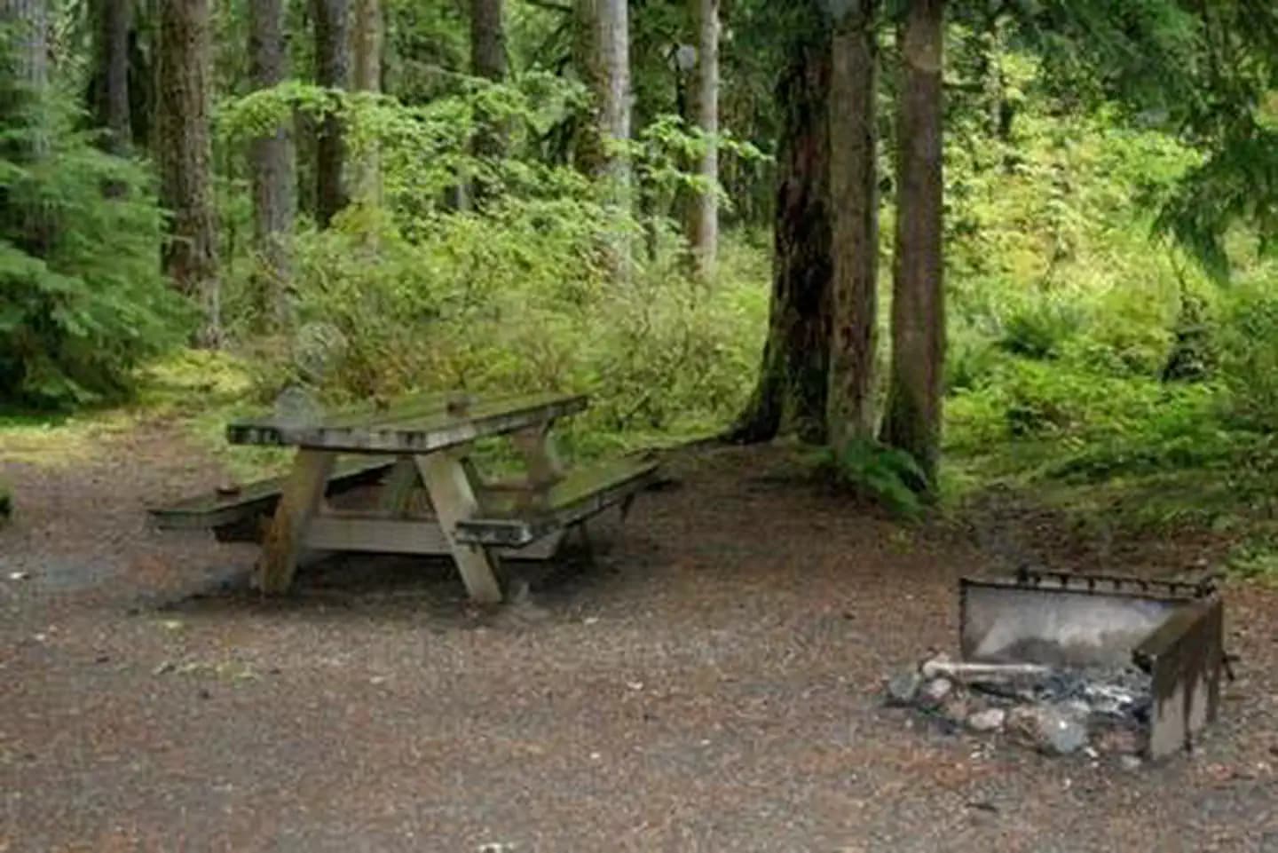 Park Creek Campground campground in Washington