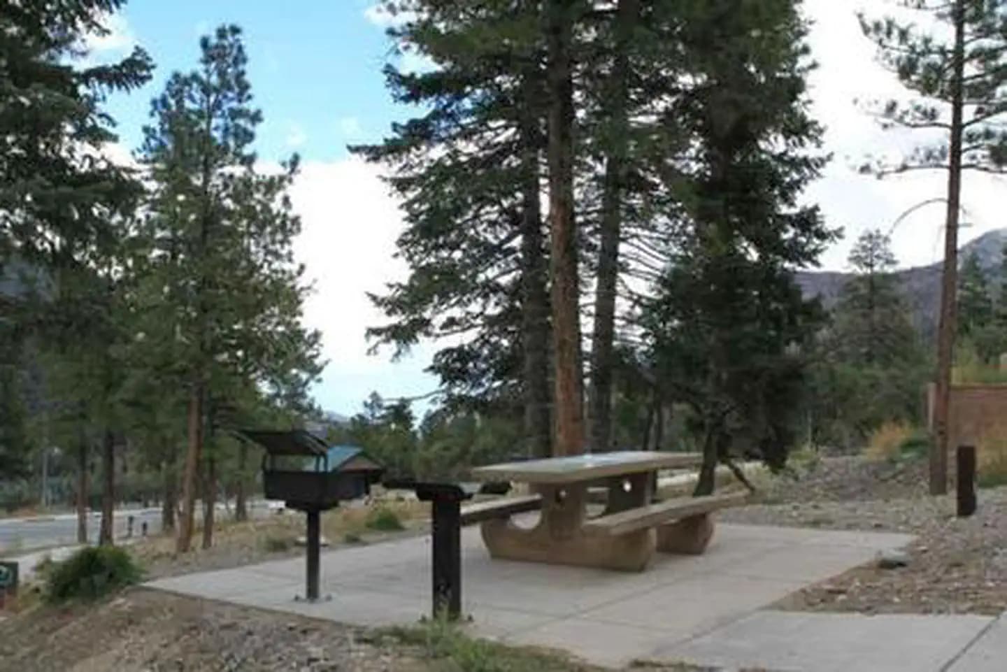 CATHEDRAL ROCK PICNIC AREA campground in Nevada