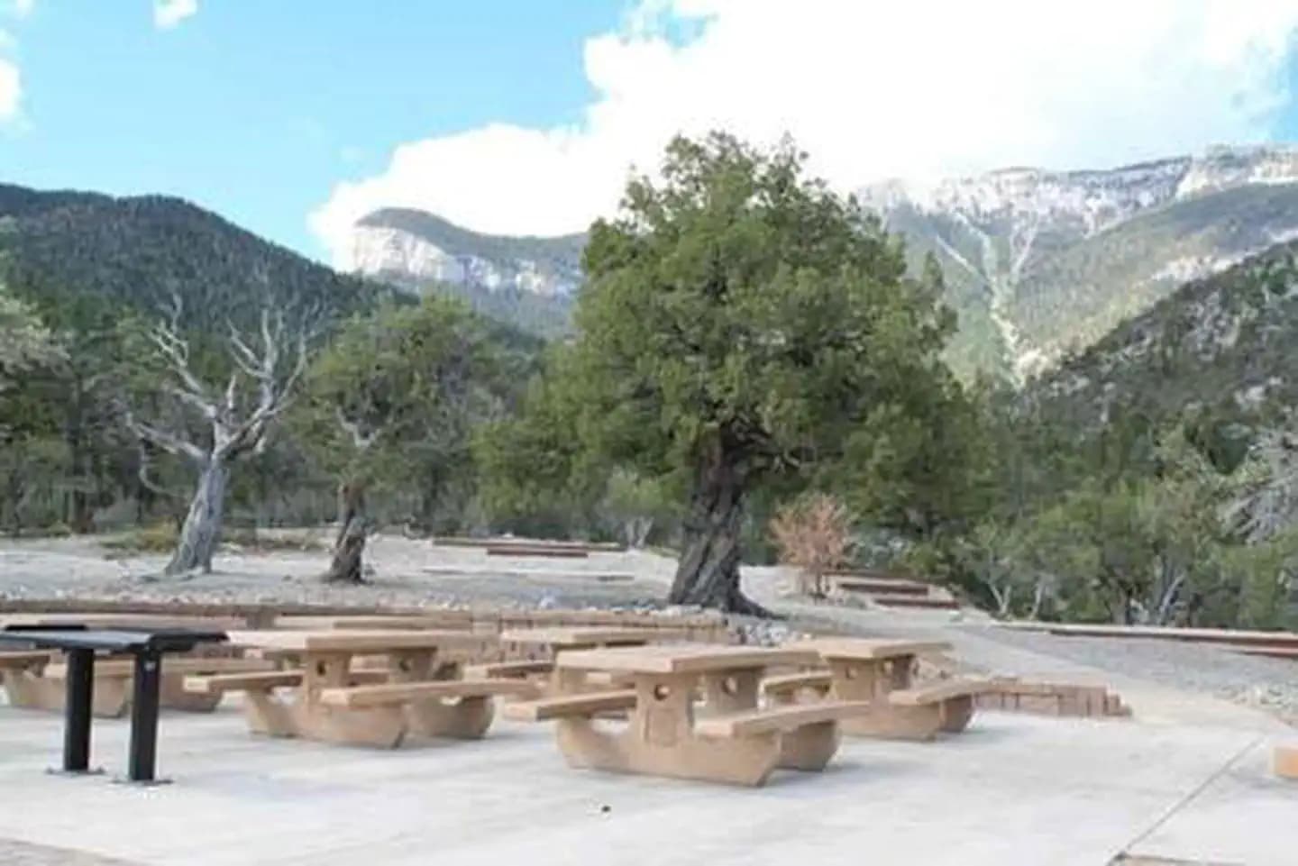 MAHOGANY GROVE campground