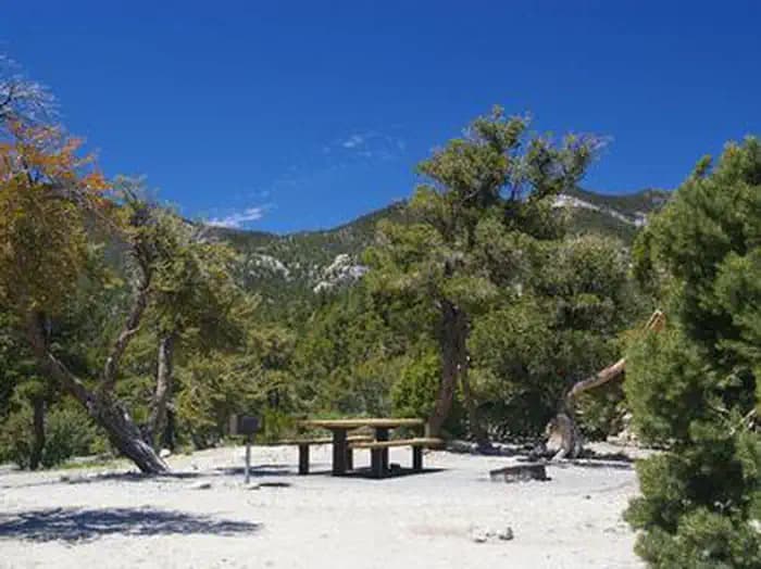 HILLTOP campground in Nevada