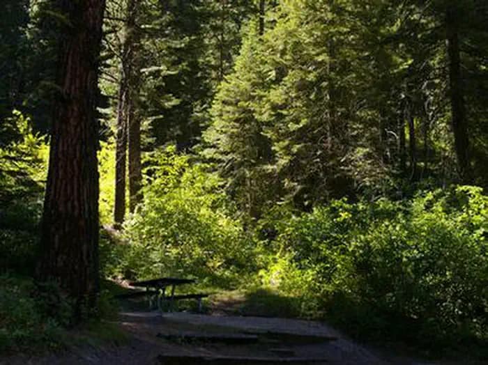 SWINGING BRIDGE campground in Idaho