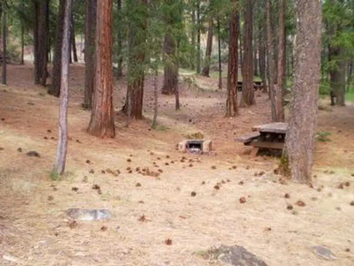 STONEY GROUP SHASTA-TRINITY campground in California