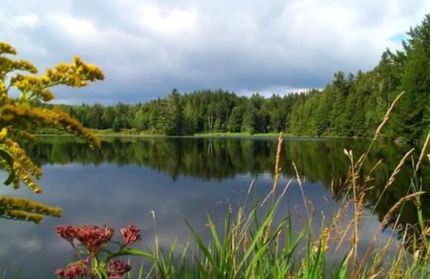HAPGOOD POND campground in Vermont
