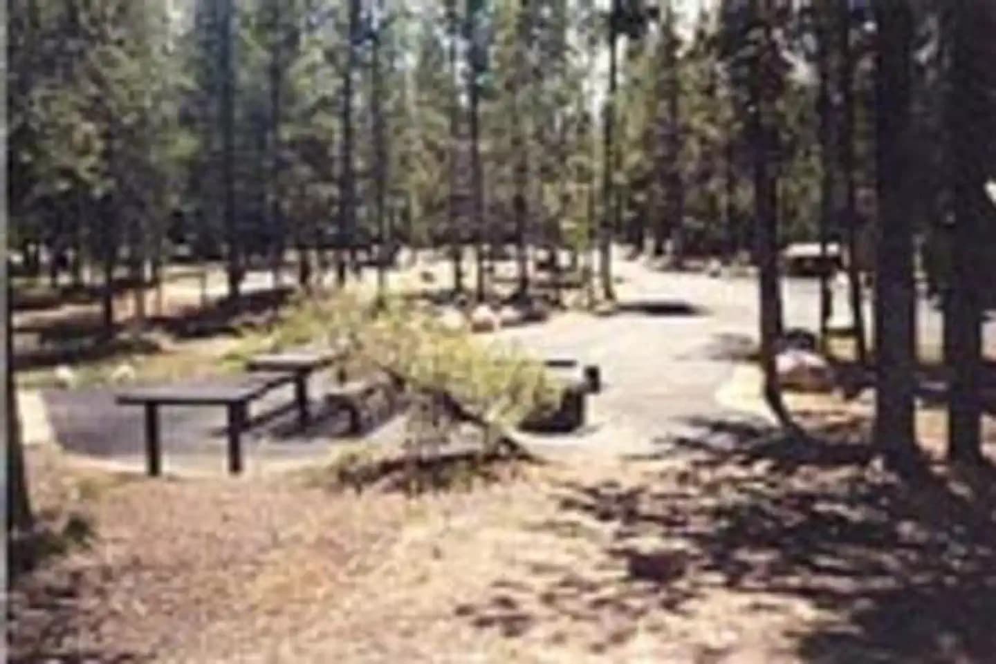 OUTLET AREA campground in Arkansas
