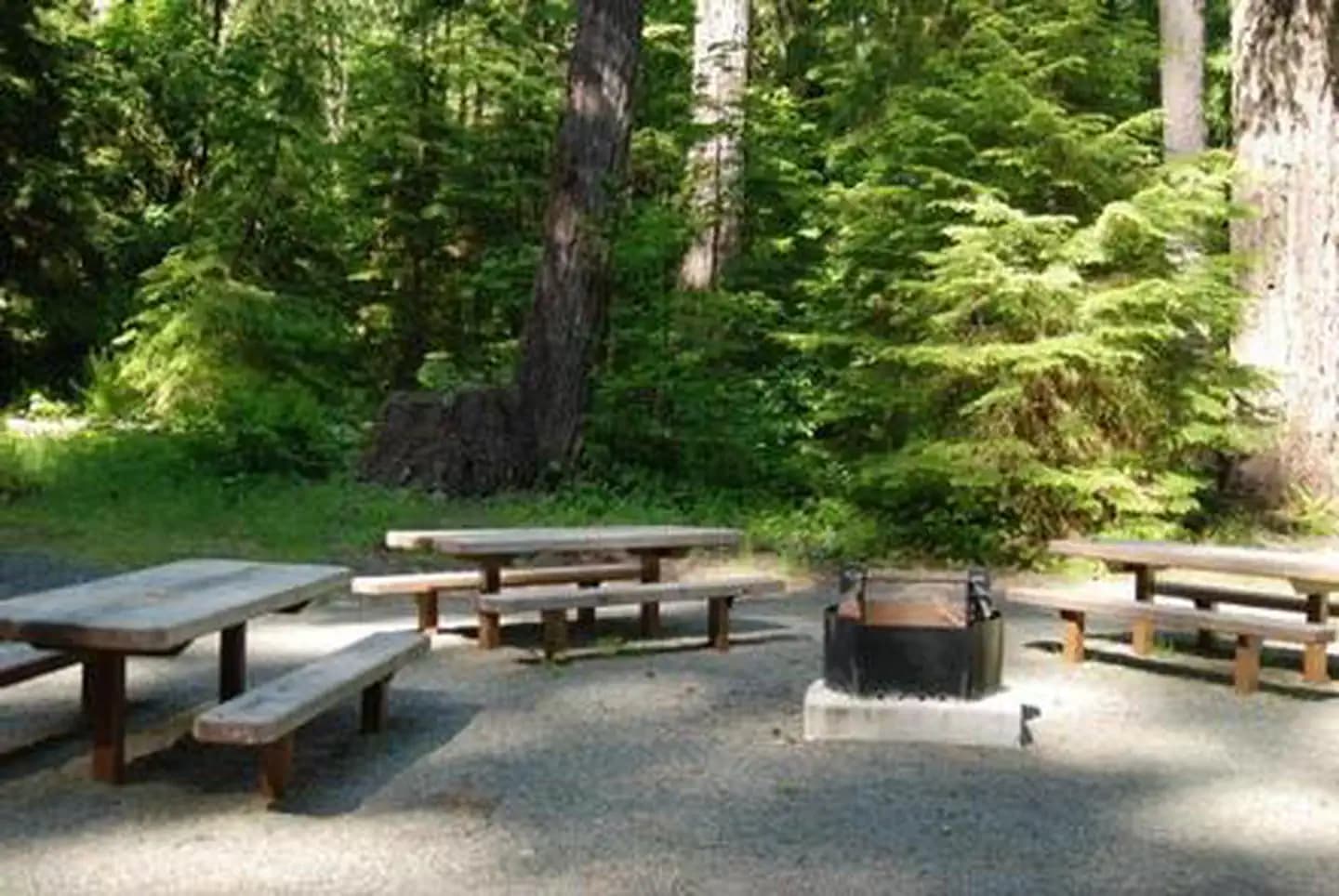 North Fork Elk Group Camp campground in Washington