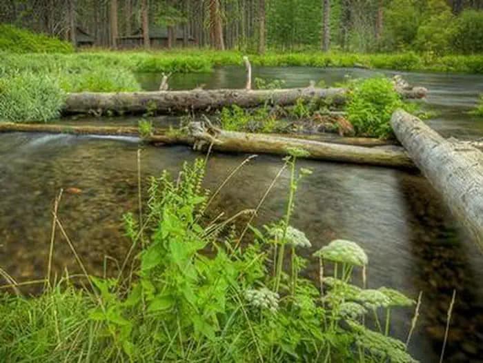 Camp Sherman Campground in Oregon