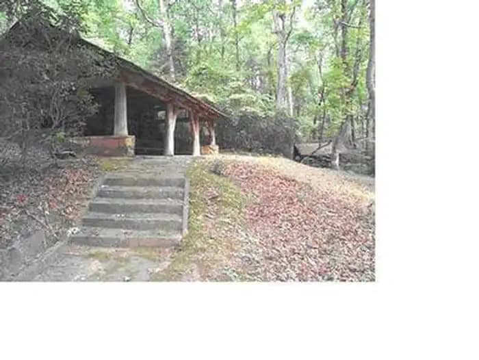 FERN SPRINGS DAY USE PICNIC AREA campground