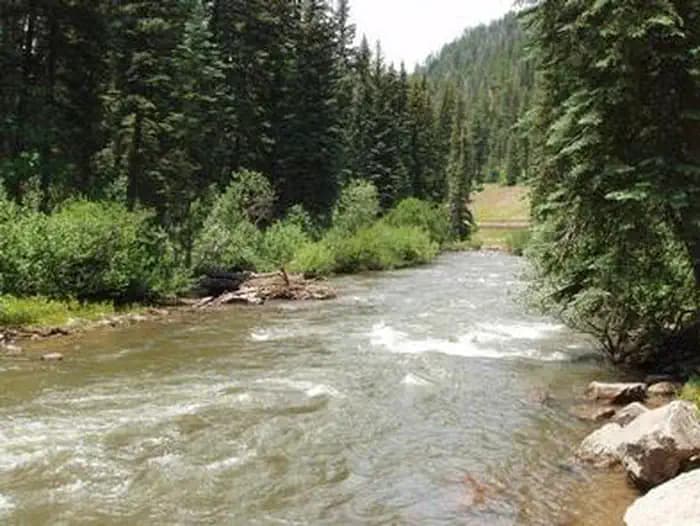 WEST DOLORES CAMPGROUND campground in Colorado