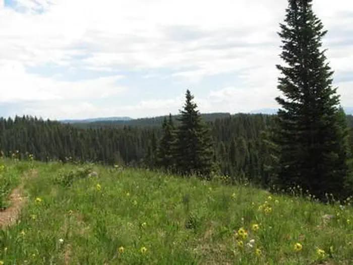 ISLAND LAKE CAMPGROUND campground