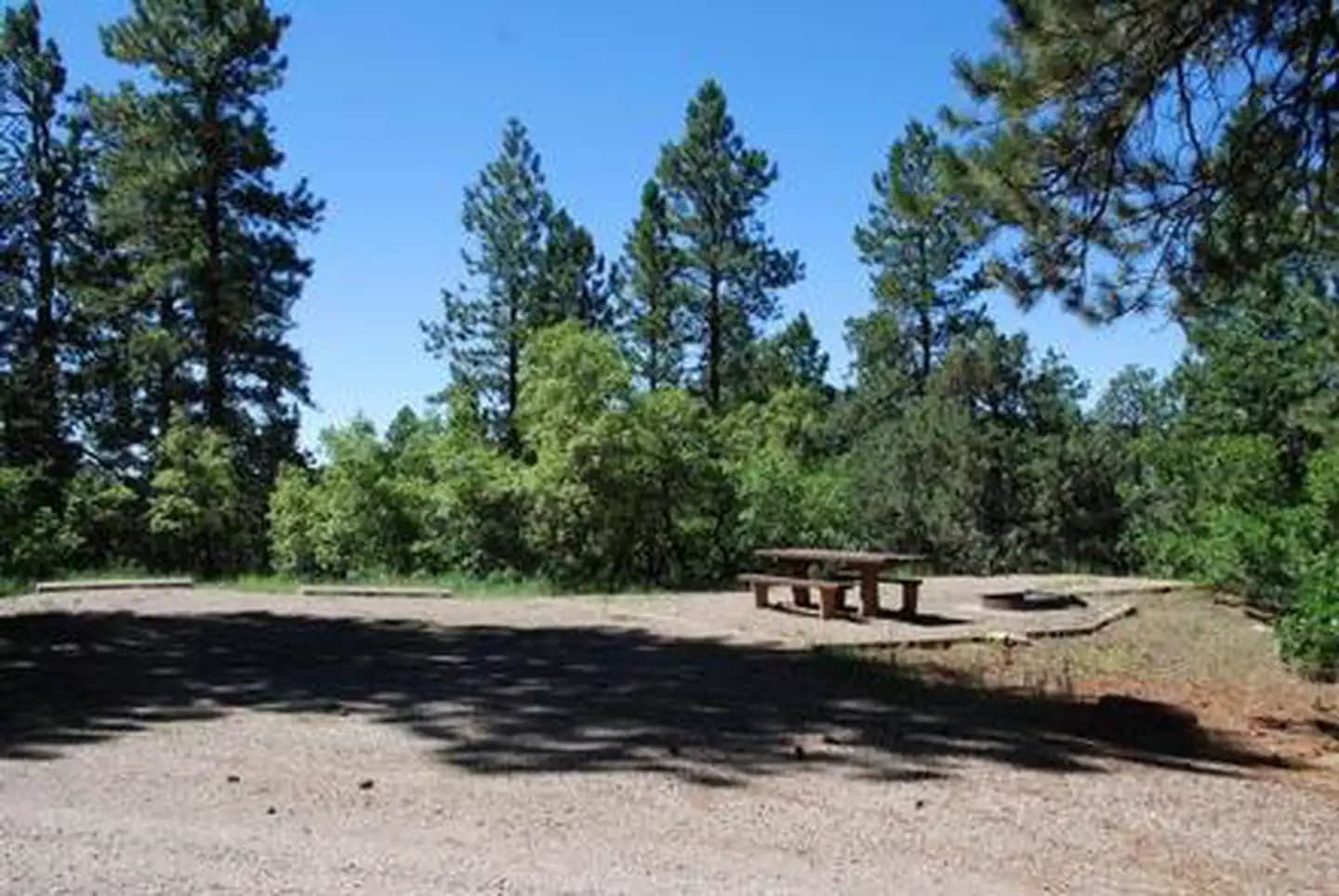 TARGET TREE CAMPGROUND campground in Colorado