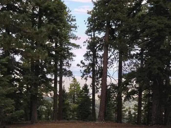 JACKSON FLATS campground in US