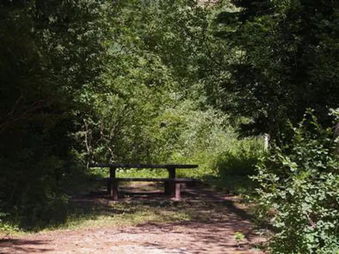 TRAIL CREEK campground in Wyoming