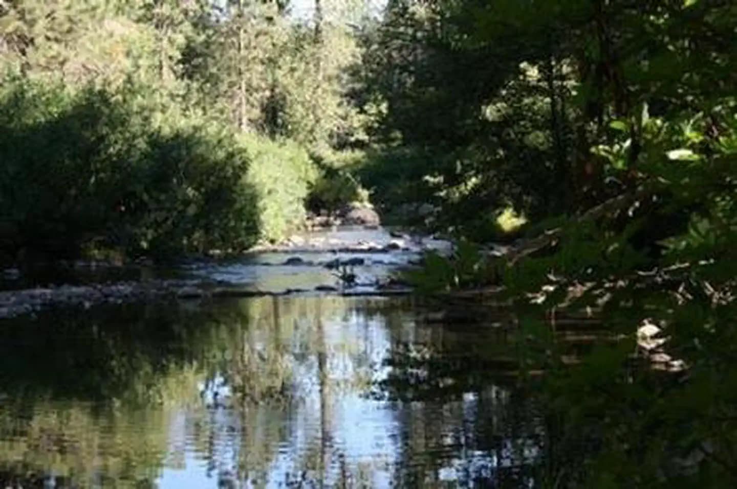 SUMMERDALE CAMPGROUND campground in California