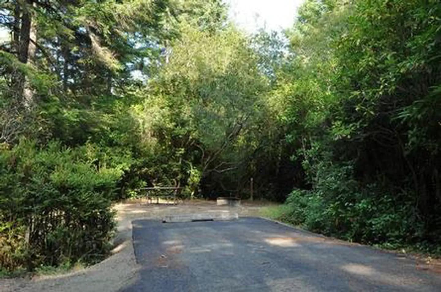 SUTTON CAMPGROUND campground in Oregon