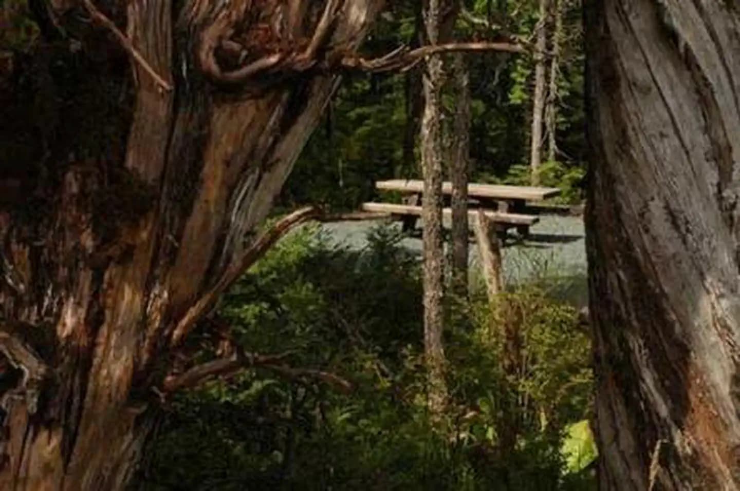 HARRIS RIVER CAMPGROUND campground in Alaska