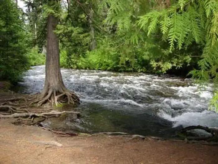 TUMWATER GROUP SITE campground in Washington