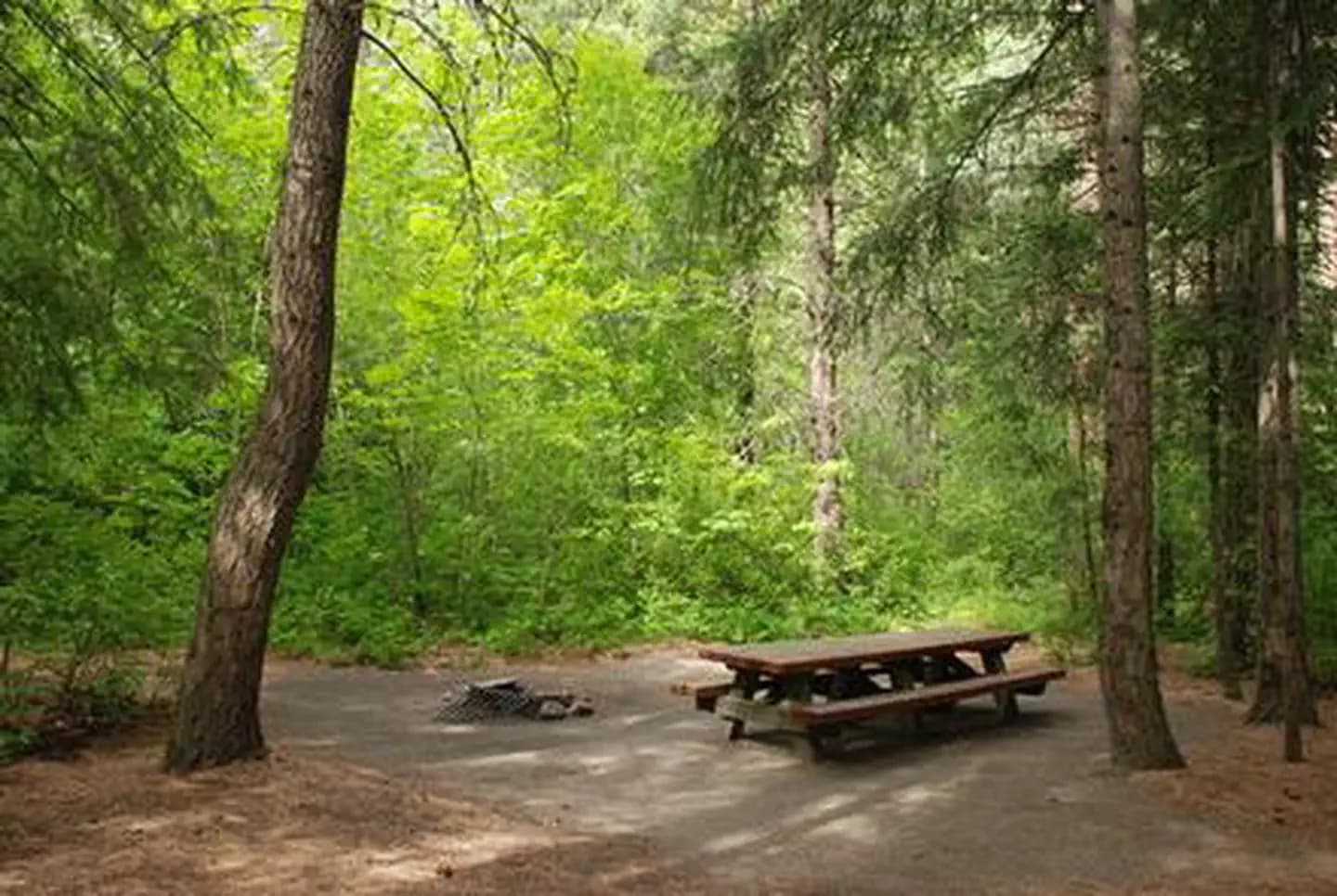 EIGHTMILE GROUP SITE campground in Washington