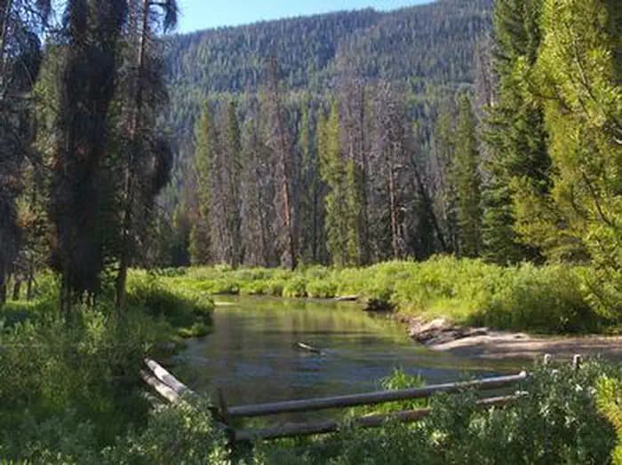 ALTURAS LAKE INLET campground in Idaho