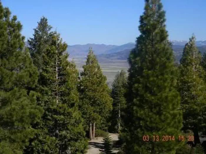 CALPINE LOOKOUT campground in California