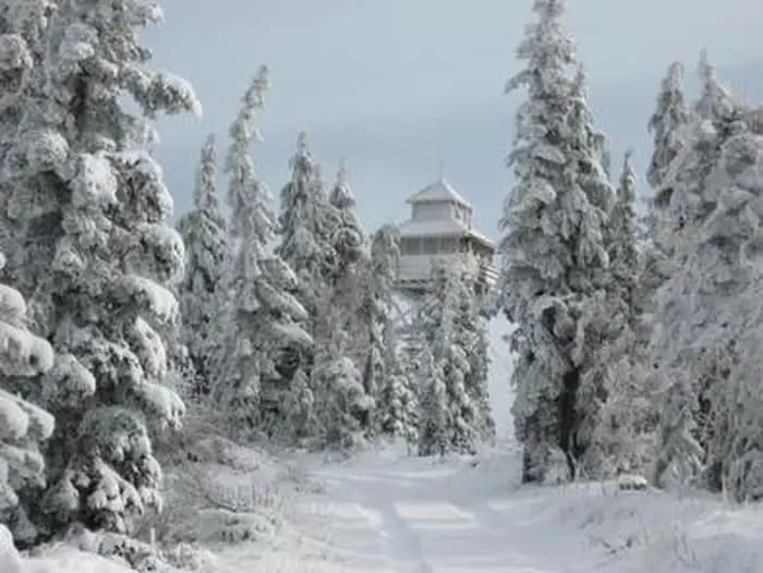 WARNER MOUNTAIN LOOKOUT campground in Oregon