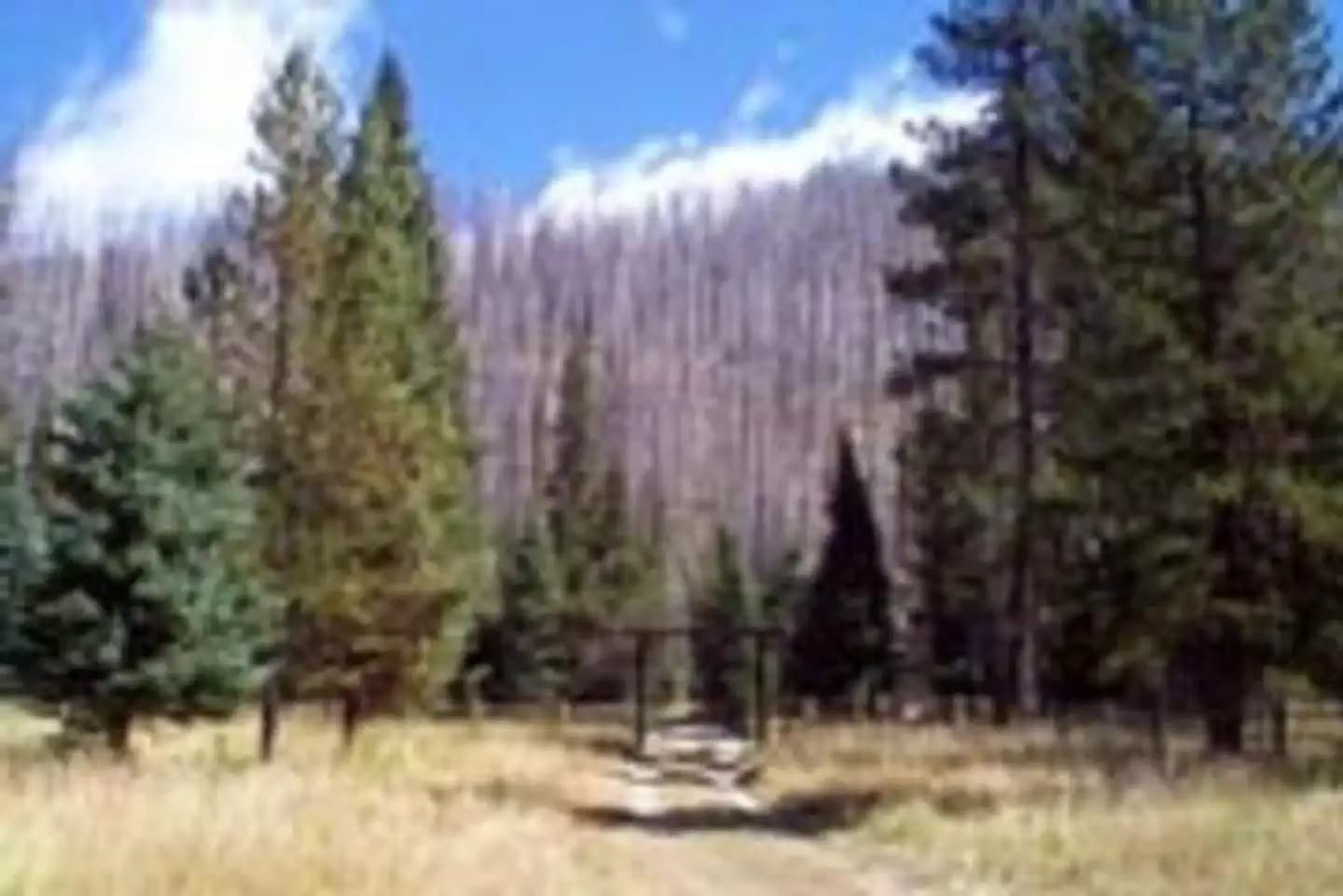 PEAVY CABIN campground in Oregon