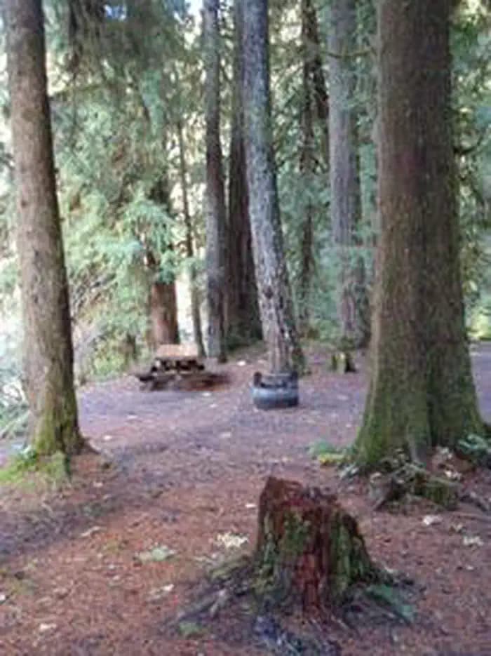 RED DIAMOND CAMPGROUND campground in Oregon