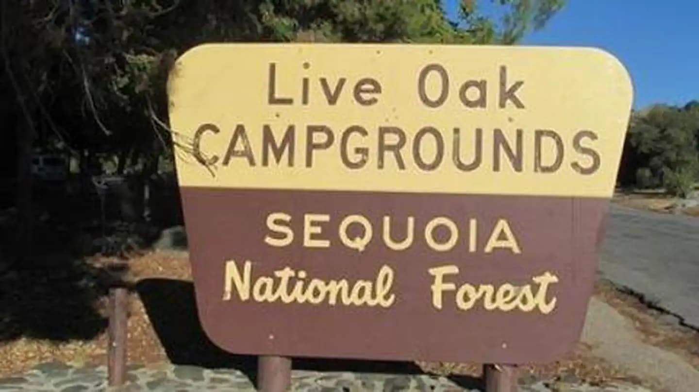 LIVE OAK SOUTH campground in California