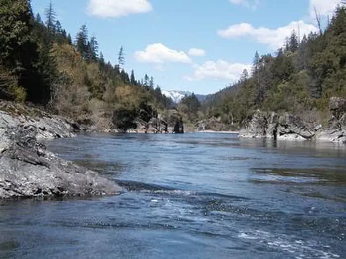 TREE OF HEAVEN CAMPGROUND campground in California