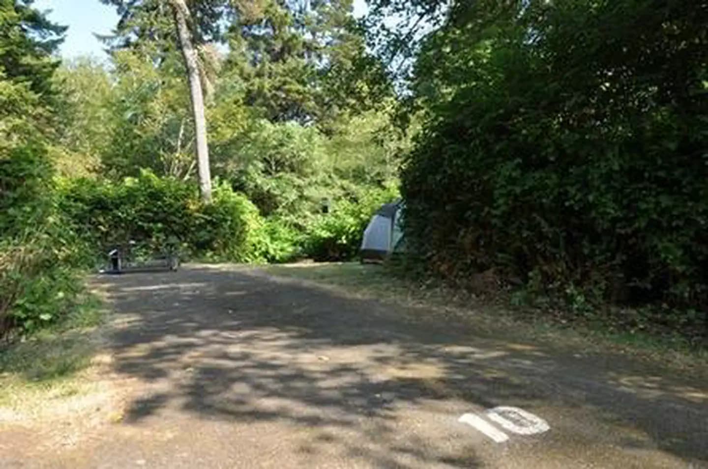 ALDER DUNE campground in Oregon