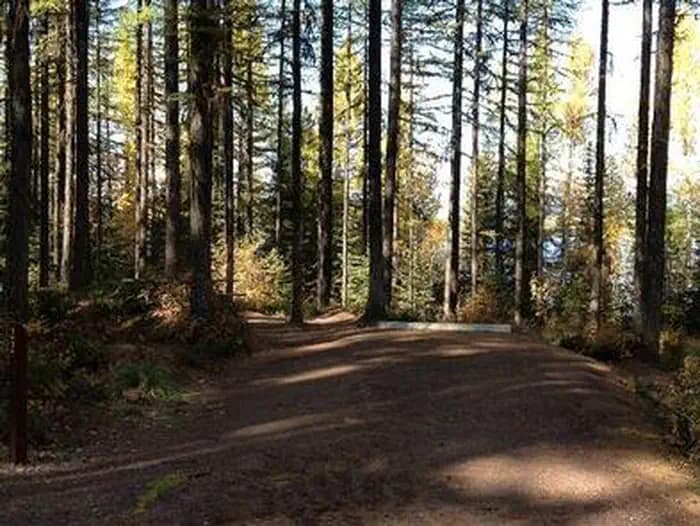 LID CREEK CAMPGROUND campground in Montana