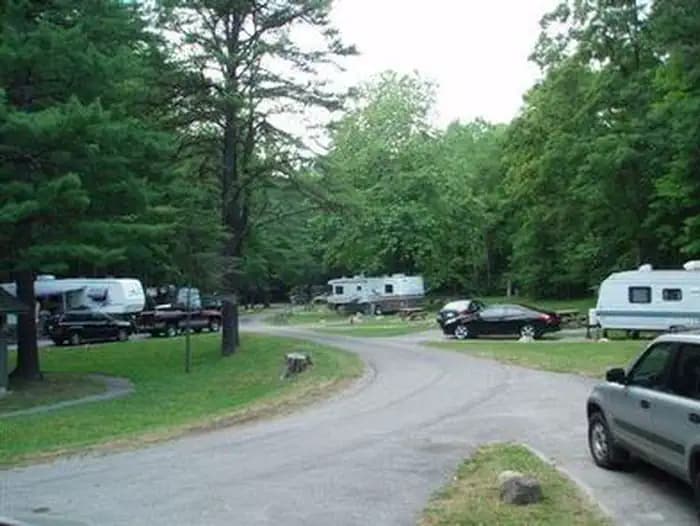 RACCOON BRANCH CAMPGROUND campground in Virginia