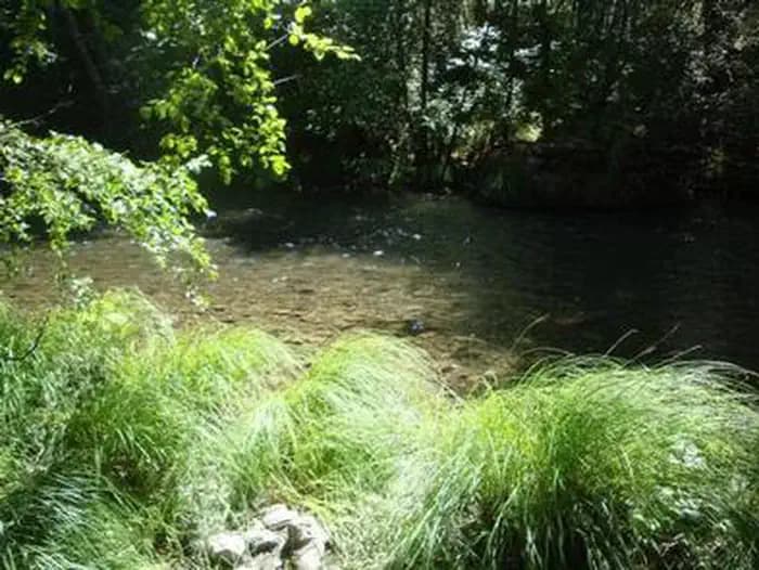 MAD RIVER CAMPGROUND campground in California